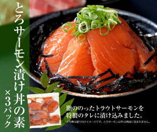 海鮮丼詰合せ(マグロ漬け3p・ネギトロ3P+サーモンネギトロ3p+トロサーモン3p+イカサーモン3P)計15食/送料無料/マグロ丼/セール/冷凍A/