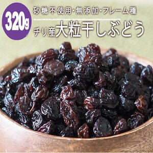 `Y 嗱 قԂǂ 320g W{[Y t[ hCt[c sgp Y [Y t[c 嗱 Ԃǂ uhE [
