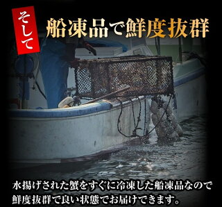 クーポン配布中!【送料無料】4L極上ボイルズワイガニ足2キロ(5-7肩)◆身入り抜群!/ズワイガニ/ズワイ/ずわい/かに/蟹/カニ/冷凍A