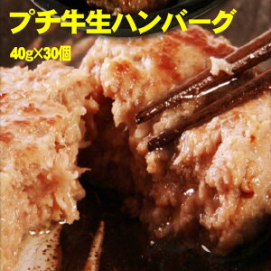 erŘb̋100葢v`no[O@40g×30/no[O//ⓀA/