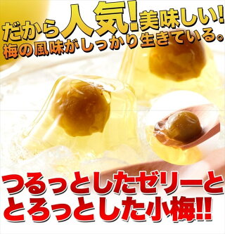 送料無料/徳用はちみつ小梅ゼリー30個国産の小梅と梅果汁を使用/常温便