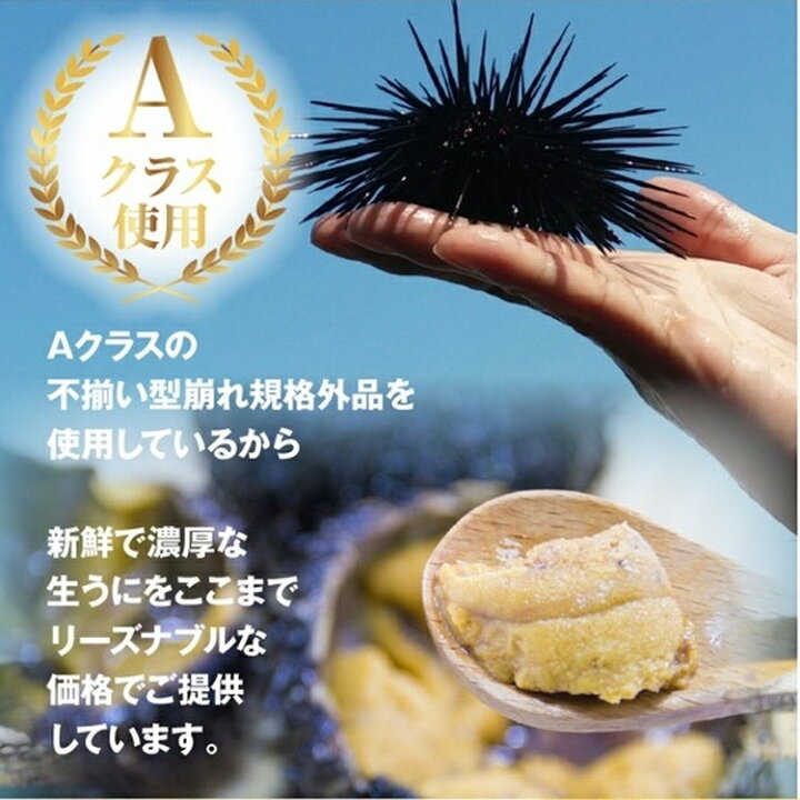 楽天市場 生食用 ウニ うに100g ミョウバン不使用 訳あり 型崩れの規格外うに丼約２杯分 冷凍商品同梱オススメ 冷凍a 北海道とれたて本舗
