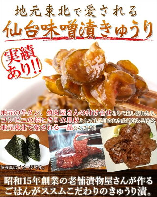 ピリ辛仙台味噌漬け胡瓜(きゅうり)500g/業務用/きゅうり/キュウリ/送料無料/メール便