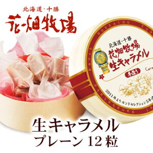 【花畑牧場】生キャラメルプレーン
