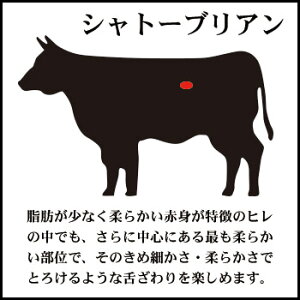 神内和牛あかステーキシャトーブリアン5枚入り500g【送料無料】【工場直送】
