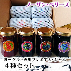 m[UEx[Y [Ogp v~AEW 4Zbg kC yY ݂₰ ubNx[ u[x[ J[g JVX Mtg v[g 