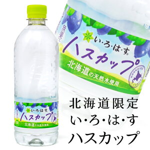 ͂ nXJbv 540ml kC yY ݂₰ kC ~lEH[^[ VR  ybg{g