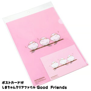 |XgJ[ht ܂NAt@C Good Friends A4 kC yY ݂₰ V}GiK sN