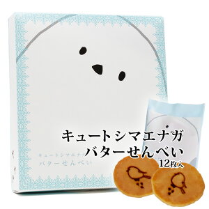 L[gV}GiKo^[ׂ 12 kC yY ݂₰ َq XC[c  Mtg