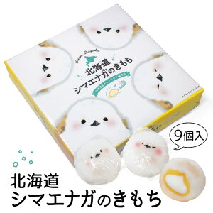 kCV}GiK̂ 9 kC yY ݂₰ َq XC[c  킢 