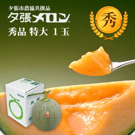 夕張市農協直送 共撰品 夕張メロン秀品特大(約2.0kg) 1玉 【送料無料】【産地直送】【代引不可】北海道 お土産 おみやげ お中元 贈答品 引出物 赤肉メロン お供え物 お盆 名物