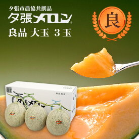 【早割り予約】夕張市農協直送 共撰品 夕張メロン良品大玉(約1.6kg) 3玉【送料無料】【産地直送】【代引不可】 北海道 お土産 おみやげ お中元 贈答品 引出物 赤肉メロン お供え物 お盆 名物