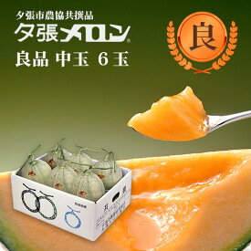 夕張市農協直送 共撰品 夕張メロン良品中玉(約1.3kg) 6玉1箱【送料無料】【産地直送】【代引不可】 北海道 お土産 おみやげ お中元 贈答品 引出物 赤肉メロン お供え物 お盆 名物