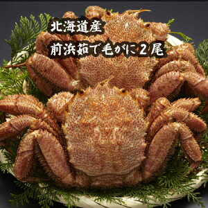 y kCYOl䥂ŖуKj 320g×2^400g×2 z