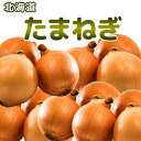 北海道産 たまねぎ 2025年秋収穫［北海道/道産/北海道産/美味しい玉葱/タマネギ］