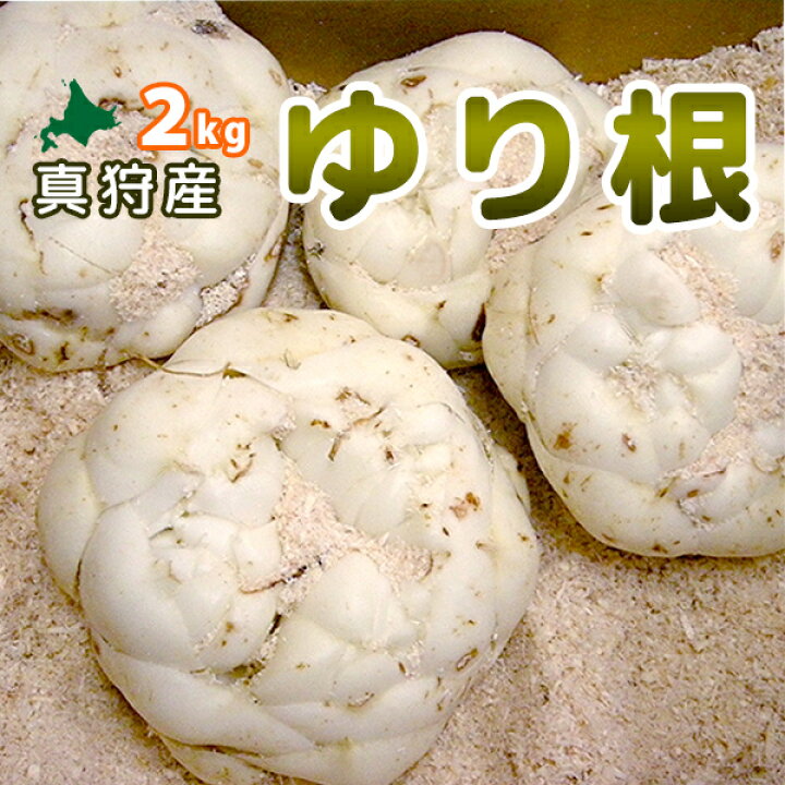 1944円 注目ショップ・ブランドのギフト 北海道産 百合根 2kg ゆり根 ユリ根 ゆりね ユリネ 冬野菜 野菜 ギフト 贈り物 自宅用 関西 西日本 人気 北海道 グルメ 送料無料 お取り寄せ 1944円 注目ショップ・ブランドのギフト 北海道産 百合根 2kg ゆり根 ユリ根 ゆりね ユリネ 冬野菜 野菜 ギフト 贈り物 自宅用 関西 西日本 人気 北海道 グルメ 送料無料 お取り寄せ