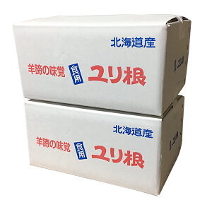 y2025Nn kC荪zkC^Yu荪v[傫/kCY/^둺/S///l]