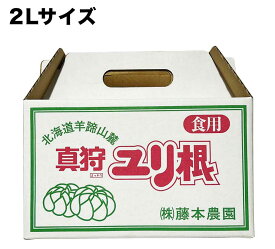 【2026年収穫】北海道真狩産藤本農園「ゆり根」1kg［百合根/ユリ根/ゆりね/ユリネ］