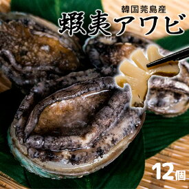 楽天市場 養殖 アワビの通販 楽天市場 養殖 アワビの通販