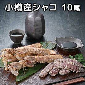 北海道小樽産 シャコ M~Lサイズ 10尾［おたる夢市場］［期間限定/しゃこ/ギフト/北海道/贈り物］