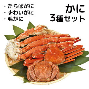 yJlTYz3ZbgmI//킢/т/Mtg/Ԍn