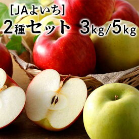 北海道［JAよいち］2種のりんごセット［リンゴ/セット/余市/北海道/甘い/期間限定］