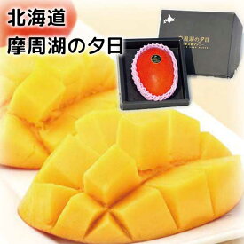 北海道 摩周湖の夕日　極寒完熟マンゴー［森哲］［北海道のマンゴー/高級/ギフト/贈り物/期間限定/冷蔵］