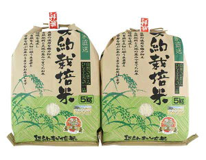 mi_nkC〈Y ߂҂肩mkC/蕨/Mtg/Ԍn