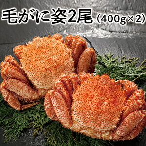 mJlRcYnтɎp2i400g×2jkCYmⓀnԌ/{CтɁn