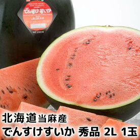 北海道産 でんすけすいか 秀品 2L 1玉［でんすけ/黒いスイカ/スイカ/北海道/でんすけスイカ/デンスケ/最高級/贈り物/ギフト/期間限定/常温］