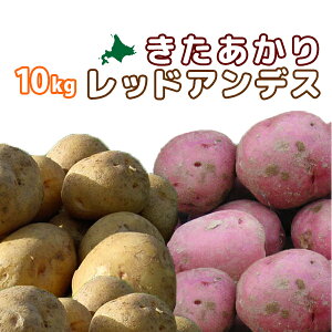 kC^둺YmEbhAfX v10kgn2025NHn ؃Zbg