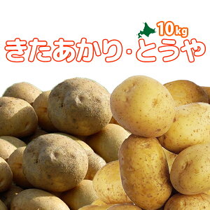 kC^둺YmEƂ v10kgn2025NHn ؃Zbg