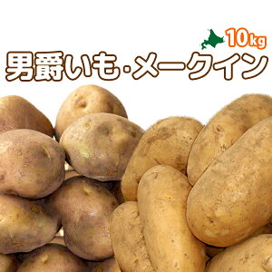 kC^둺Ymj݂E[NC v10kgn2025NHn