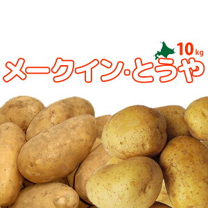 kC^둺Ym[NCEƂ v10kgn2025NHn ؃Zbg