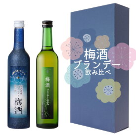 【送料込】ギフト青箱 北海道のブランデー梅酒飲み比べセット [札幌酒精、池田町ブドウ・ブドウ酒研究所] 熨斗対応可 国産梅｜お中元 父の日 ギフト お酒 誕生日 プレゼント 男性 女性 結婚記念日 手土産 出産 新築 内祝 長寿 法事 快気 お祝い お礼 挨拶