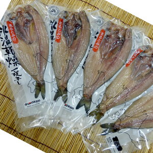 yzX Jقij 5Zbgij܂Ƃ݋g쐅Y ܂肷 yⓀցzlΉ s | Mtg O Hו v[g a A ސE 