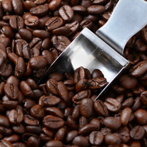 yzkClCuh[ R[q[100g×7 s_yH꒼ CYR[q[ ܂肷 s | Ε NX}X Mtg kC O v