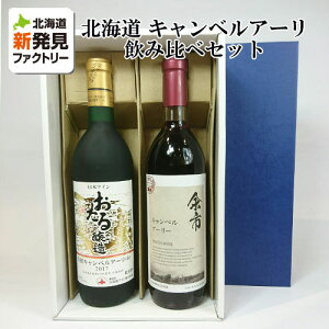 yzMtg m ]snLxA[  Ì ݔ׃Zbg 720ml×2{ bsOΉbΕ NX}X Mtg O  v[g j  a j