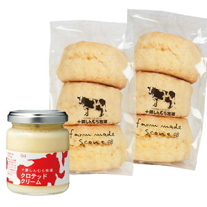 yz̃n[j[[A]I\ނq XR[(3)×2 ƃNebhN[1̃ZbgyN[ցz lEbsOΉb Ε NX}X Mtg O 