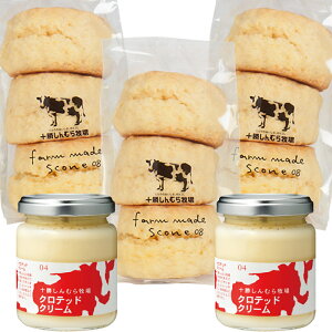 yz̃n[j[[C]I\ނq XR[(3)×3 ƃNebhN[2̃ZbgyN[ցz lEbsOΉb Ε NX}X Mtg O 