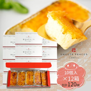 y12Zbg/z˂@KJ^[i v`10i10j×12^v120 lΉ bY kC  ⓀfU[g Mtg v[g َq ACX u q 