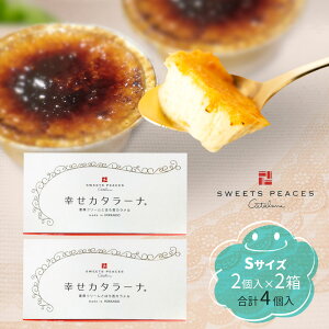 y2Zbg/z˂ KJ^[i STCYi2j×2 lΉ bY kC  ⓀfU[gbΕ NX}X Mtg v[g q َq ACX u 