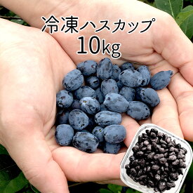 【送料込】北海道千歳産 冷凍ハスカップ 10Kg 冷凍フルーツ 業務用 製菓向け お菓子作り スーパーフード [SS2303]