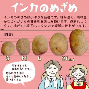 楽天市場 予約 1月中旬頃より発送 ギフト きたあかり 1kg インカのめざめ 1kg 越冬じゃがいも 食べ比べセット 北海道産 2l L M混 2kg 代引き不可 北海道新発見ファクトリー