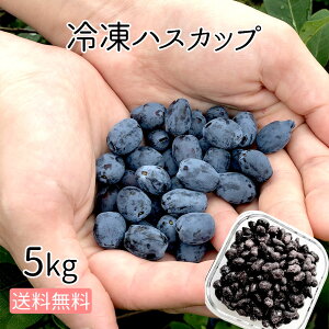 冷凍フルーツ 業務用の人気商品 通販 価格比較 価格 Com