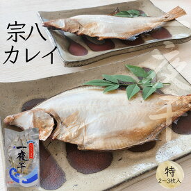 【送料込冷凍便】北海道稚内産 真空 一夜干 宗八カレイ 高級干物（ 特 ）2枚～3枚入 高級干物 柳浦食品 産地直送 厳選素材 【代引き不可】【代引き不可】| ギフト 食べ物 グルメ 海鮮