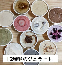 ミニカップ 【12種類】 北海道江別産ジェラート 80ml×12個 送料無料 卵不使用 お祝い 内祝 ギフト用 熨斗 ご自宅用 パーティー用