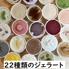 ミニカップ【22種類】北海道江別産ジェラートおまかせ　80ml×22個 送料無料 卵不使用 お祝い 内祝 ギフト用 熨斗 ご自宅用 パーティー用