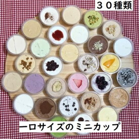 超ミニカップ 【30種類】 北海道江別産ジェラート 40ml×30個 送料無料 卵不使用 お祝い 内祝 ギフト用 熨斗 ご自宅用 パーティー用