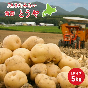 JA݂炢 kCY k  Ⴊ 5kgقق kC Hi Mtg O  